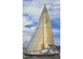 DULCINEA Charter Yacht