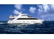 KING BABY Charter Yacht