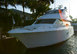 SHOW BOAT Charter Yacht
