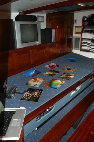 PROMENADE: Interior 08 