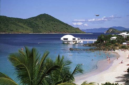 Coki Point Dive Site St Thomas US Virgin Islands