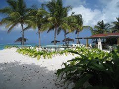 Cow Wreck Bay Beach Anegada British Virgin Islands