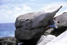 Fallen Jerusalem Beach Virgin Gorda British Virgin Islands