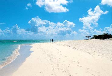 Flash of Beauty Beach Beach Anegada BVI