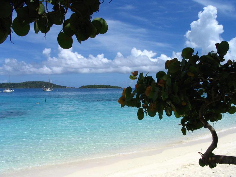 Honeymoon Beach Dive Site St John US Virgin Islands