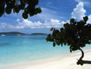 Honeymoon Beach Beach St John US Virgin Islands