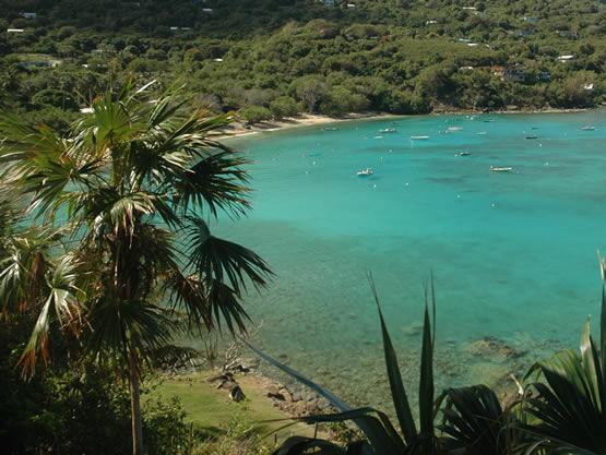 Hull Bay Beach St Thomas USVI