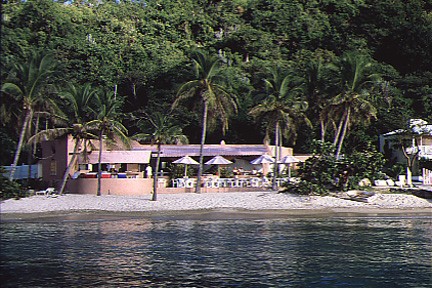 Manchioneel Bay Dive Site Cooper Island British Virgin Islands