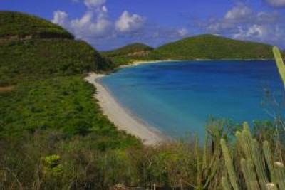 Savannah Bay Beach Virgin Gorda BVI