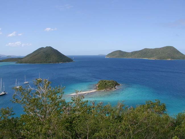 Waterlemon Cay Dive Site St John US Virgin Islands