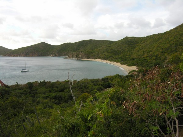 White Bay Dive Site Peter Island British Virgin Islands
