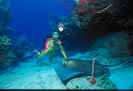 Spyglass Wall Dive Site Norman Island British Virgin Islands