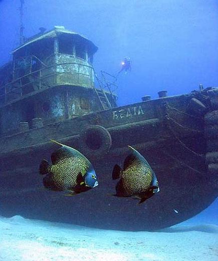 Wreck Alley Dive Site Cooper Island BVI