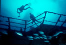 Wreck of the Chikuzen Dive Site Tortola British Virgin Islands