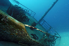 Wreck of the Inganess Bay Dive Site Cooper Island BVI