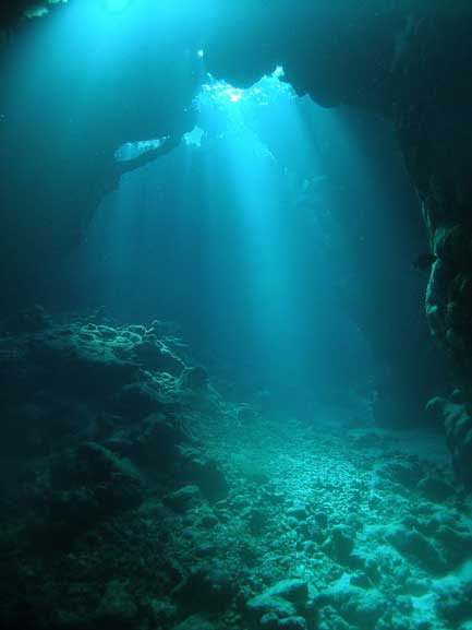 Eagle Shoal Dive Site St John USVI