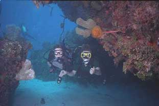British Virgin Islands Scuba Diving