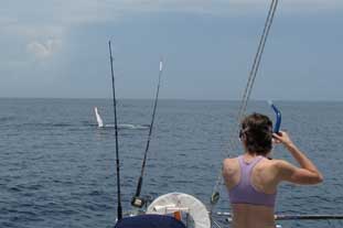 Sport Fishing